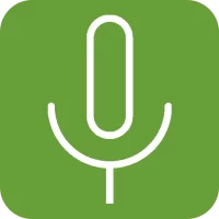 Background voice recorder